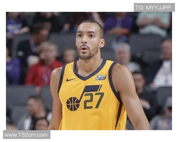 兵团信号与瓦斯科比分对决分析及赛后总结