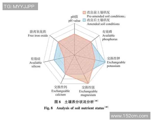 卢卡布雷切尔对决精彩回顾与未来展望分析