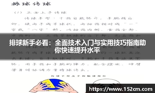 排球新手必看：全面技术入门与实用技巧指南助你快速提升水平