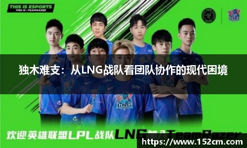 独木难支：从LNG战队看团队协作的现代困境