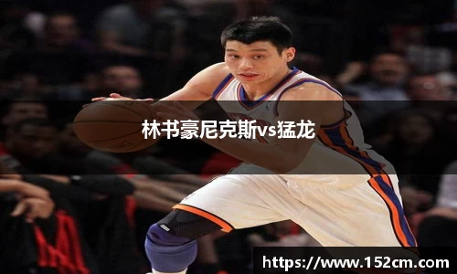林书豪尼克斯vs猛龙