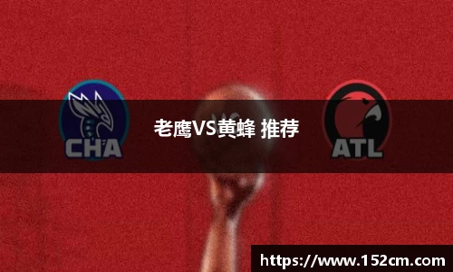 老鹰VS黄蜂 推荐