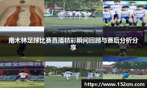 风云体育直播