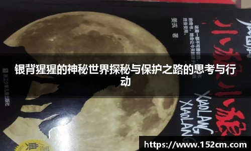 银背猩猩的神秘世界探秘与保护之路的思考与行动